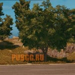 Разработчики о разработке и улучшении PUBG на PS4 и XBOX