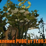 Обновление основных серверов PUBG от 11.09.2019